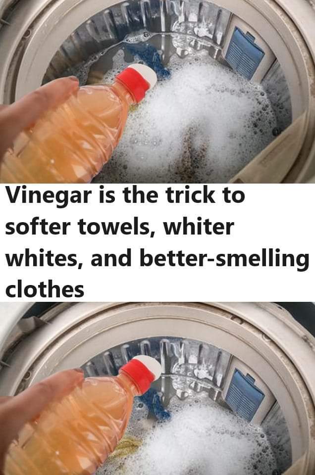 My Clothes Were Never Pure White and Fresh Smelling After Washing, Then My Neighbor Told Me This Trick! My Clothes Were Never Pure White and Fresh Smelling After Washing, Then My Neighbor Told Me This Trick!