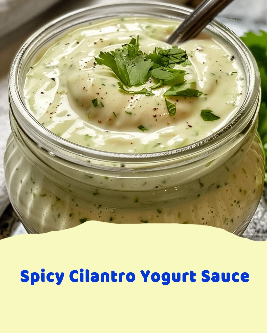 Spicy Cilantro Yogurt Sauce Spicy Cilantro Yogurt Sauce