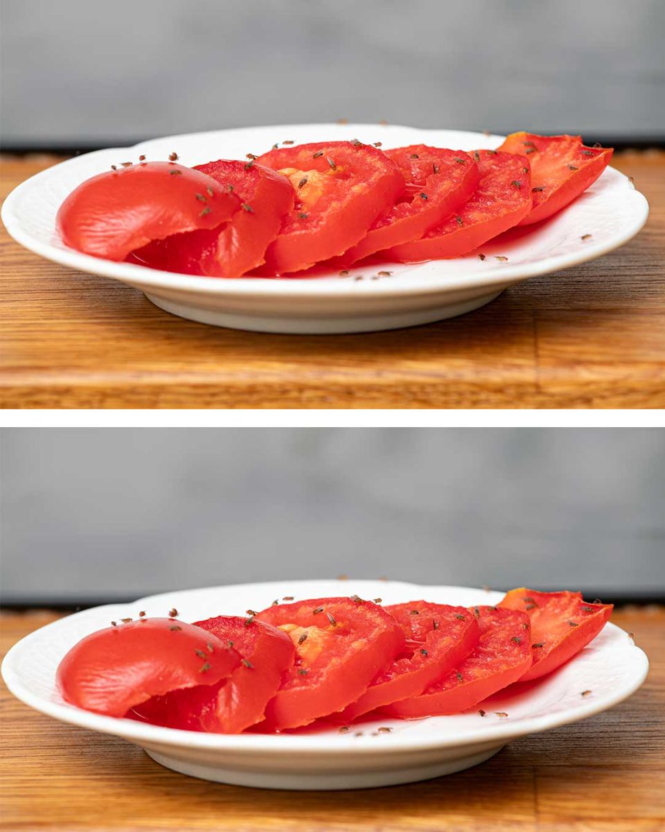 Fruit flies are covering all the tomatoes I left out. Do I need to now clean my entire kitchen, or can I just toss out the tomatoes? Fruit flies are covering all the tomatoes I left out. Do I need to now clean my entire kitchen, or can I just toss out the tomatoes?